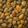 Elemi