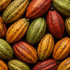 Cacao Pod